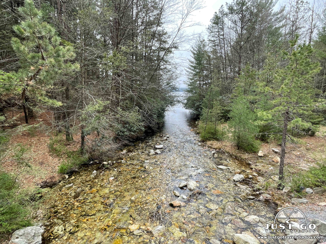 waterway in Michaux State Forest