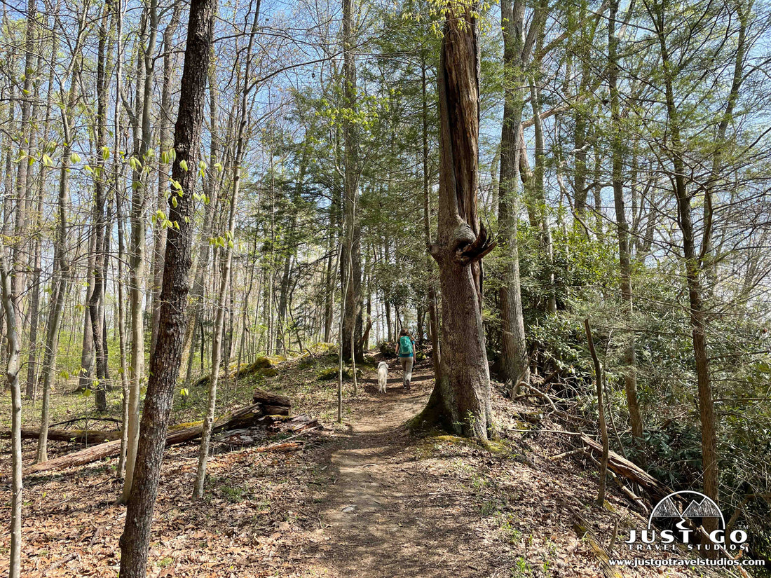 Hiking in Caledonia State Park