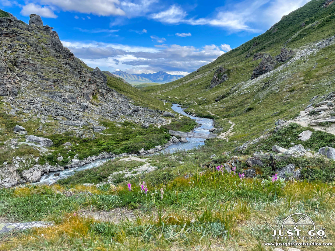 Savage River Loop Trail in Denali National Park