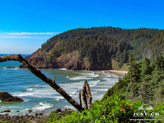 View of the coastline in ecola state park