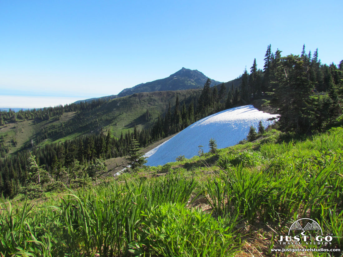 View of the snow in Olympic National Park