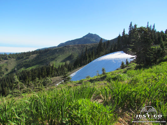 View of the snow in Olympic National Park