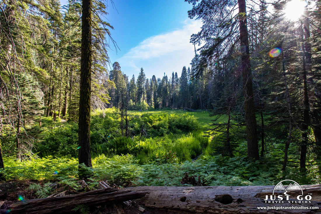 crescent meadow in sequoia national park