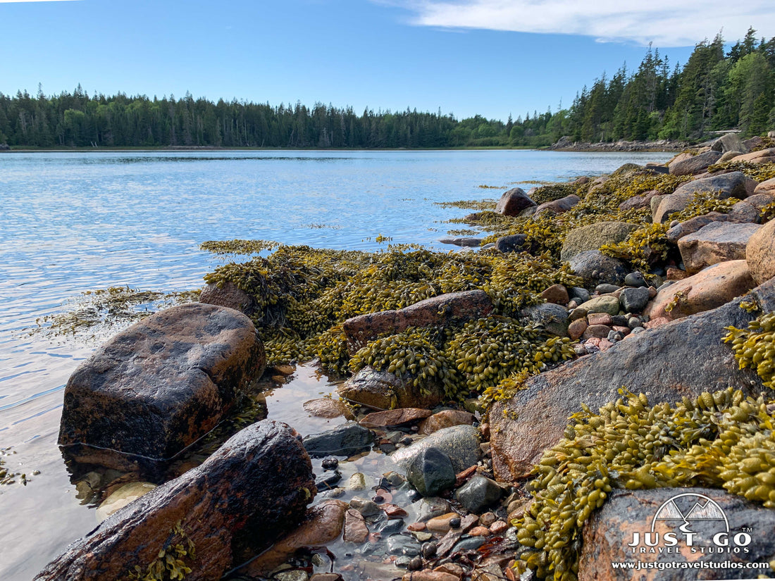 ship harbor trail in acadia national park