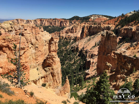Bristlecone Loop Trail in Bryce Canyon National Park
