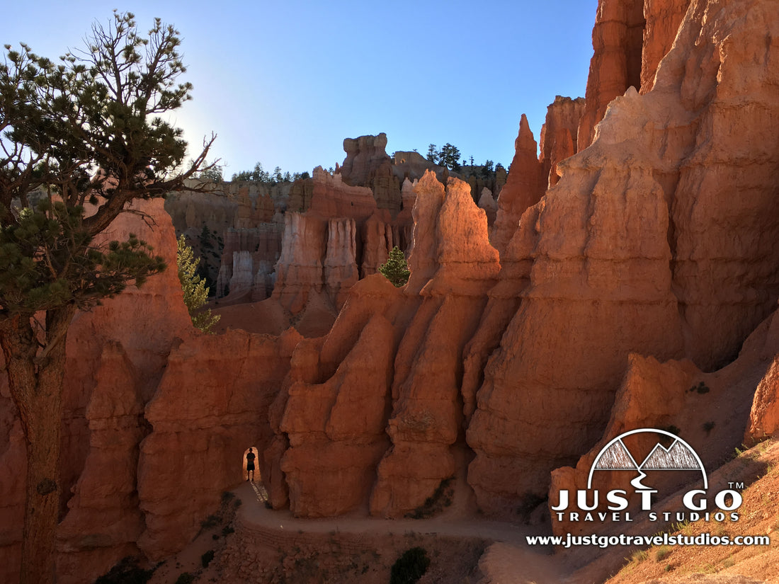 Best National Park Shows, Documentaries and Web Series