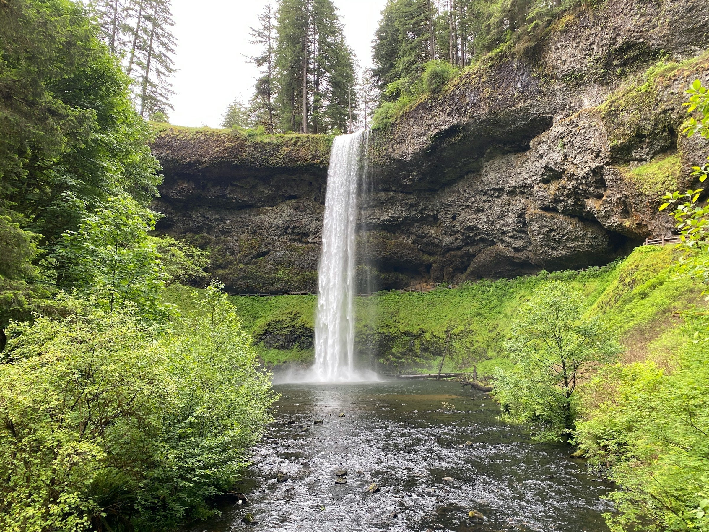 Camping in Silver Falls State Park: Campground Maps, Site Photos & Mor ...