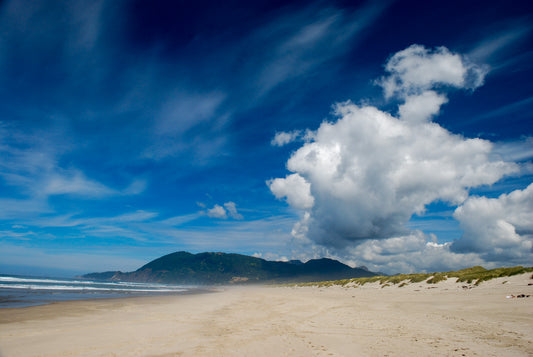 Nehalem Bay State Park