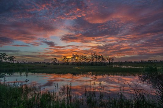 Sunset at Big Cypress National Preserve