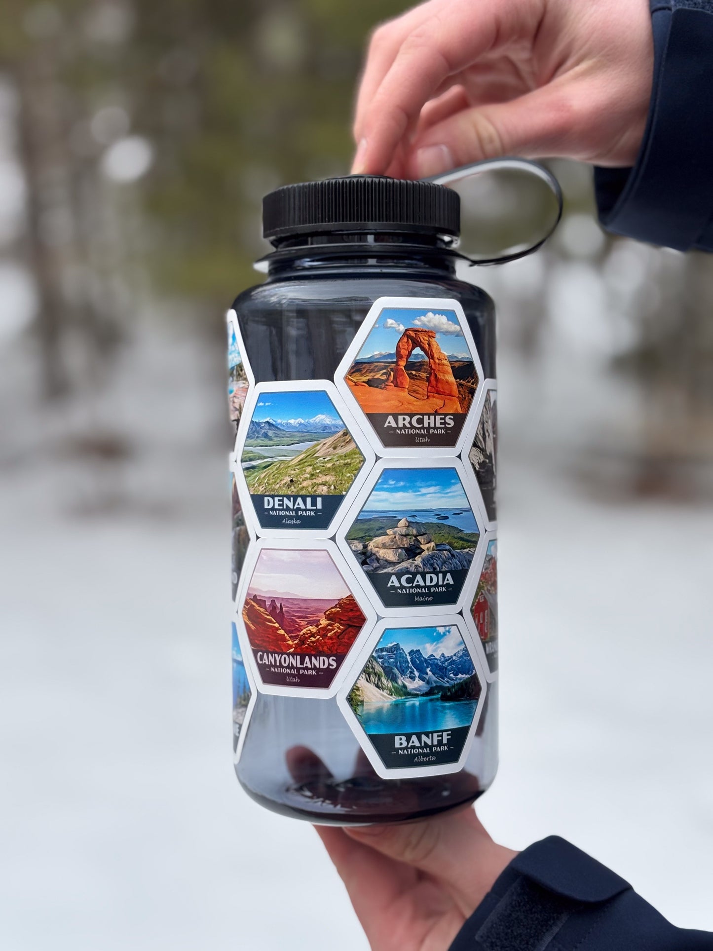 Mount Rainier National Park Sticker (Paradise) - Hex
