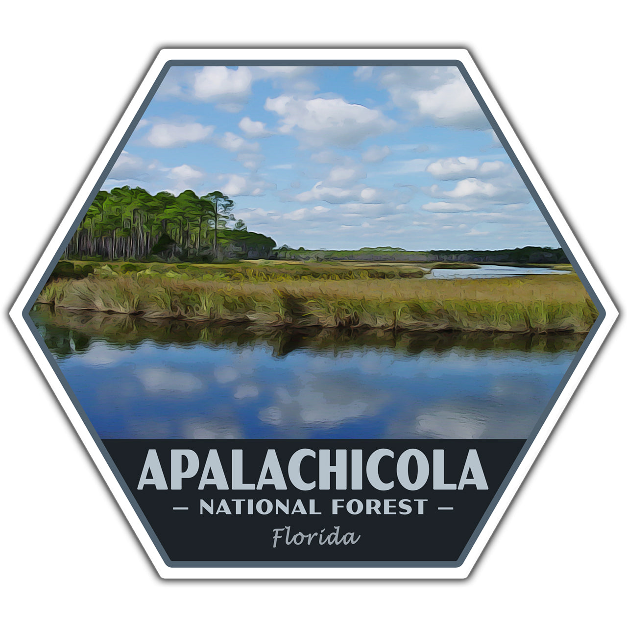 Apalachicola national forest sticker