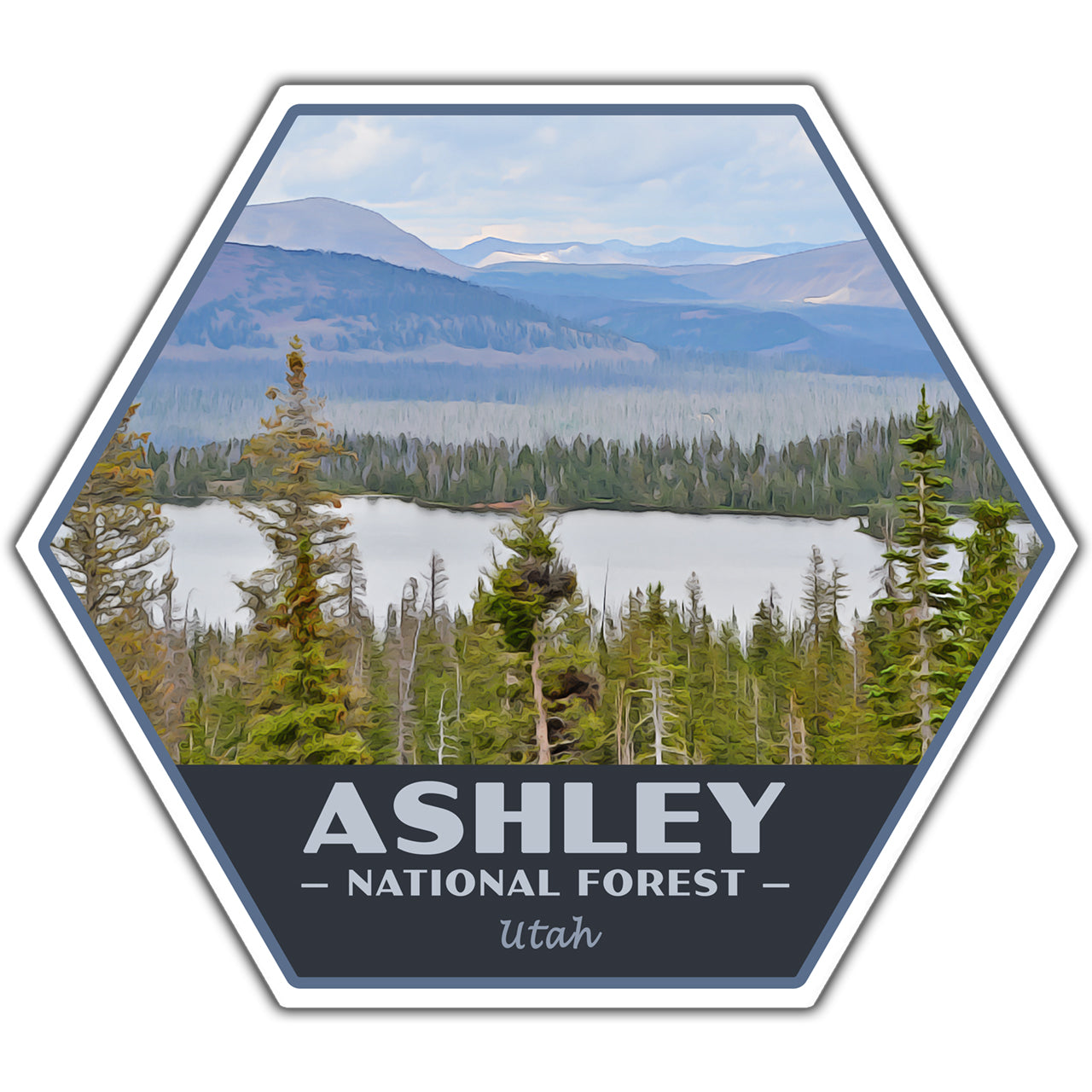Ashley national forest sticker