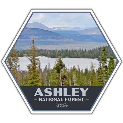 Ashley national forest sticker