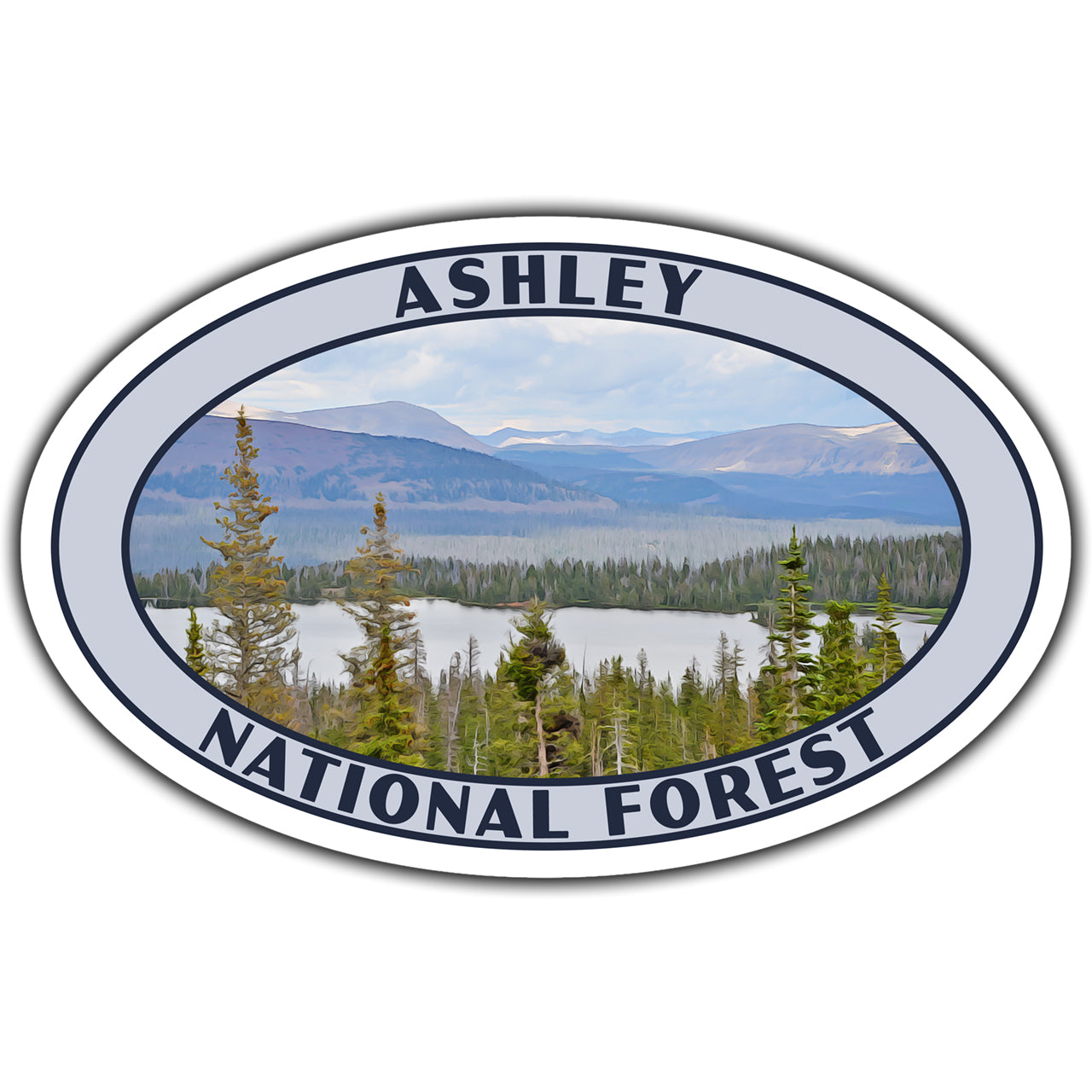 Ashley national forest sticker