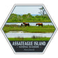 assateague island national seashore sticker