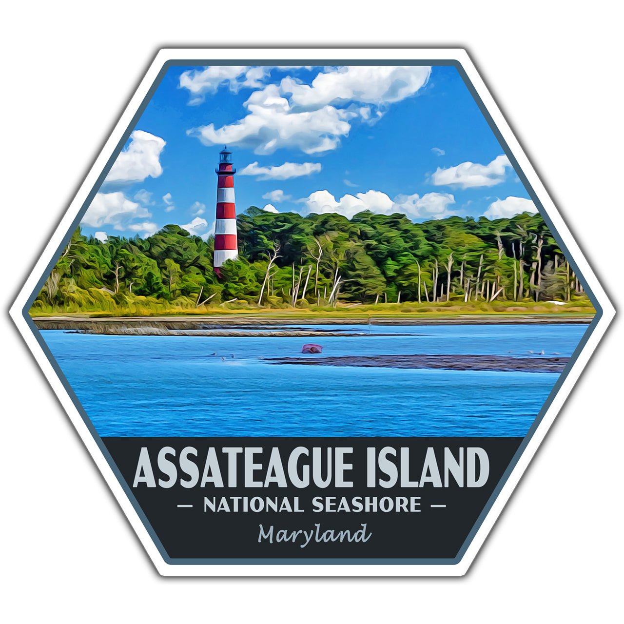 Assateague Island National Seashore sticker