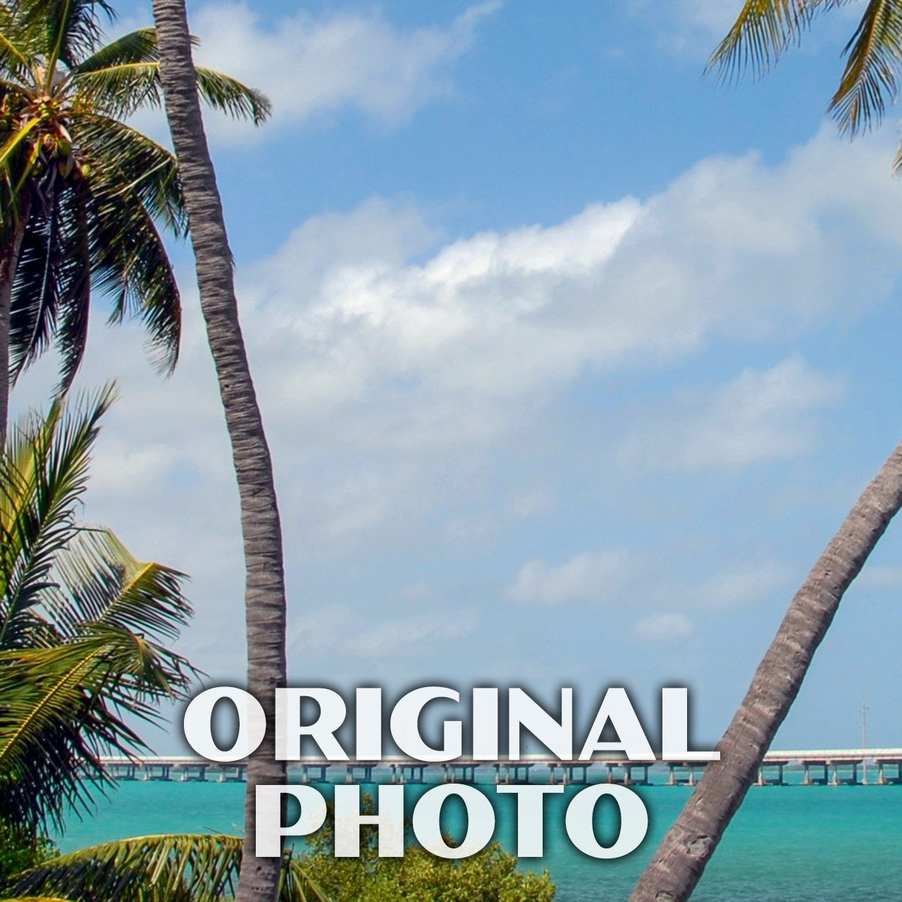 Bahia Honda State Park Poster - WPA (Palm Trees)