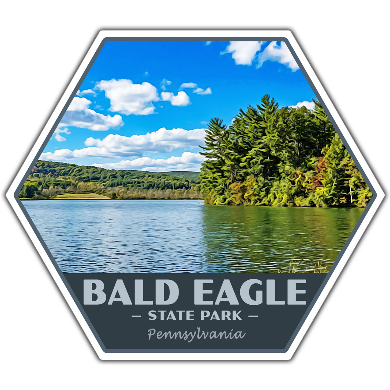Bald Eagle state park sticker