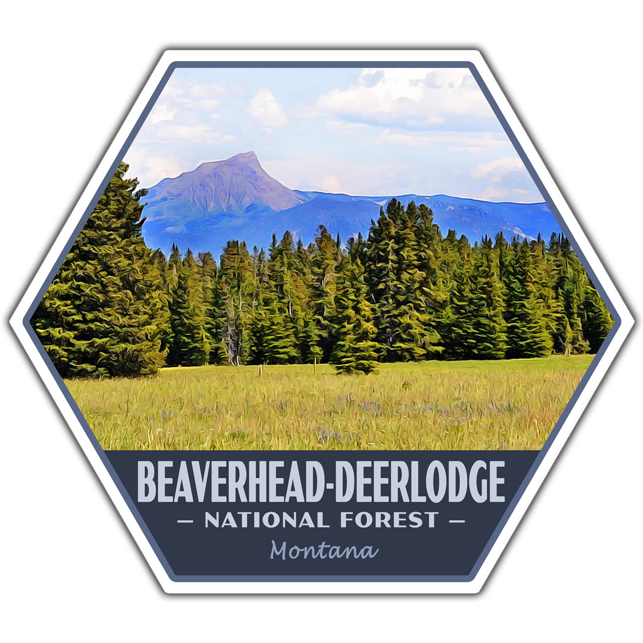 Beaverhead-Deerlodge national forest sticker