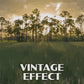 Big Cypress National Preserve Poster - WPA (Birdon Road)
