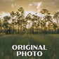 Big Cypress National Preserve Poster - WPA (Birdon Road)