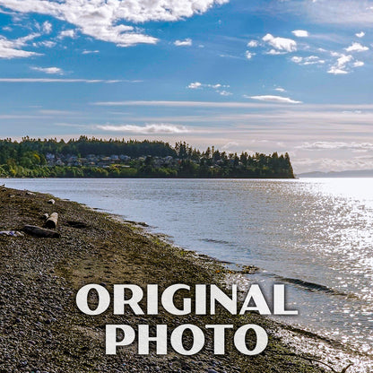 Birch Bay State Park Poster-WPA (Beach View)
