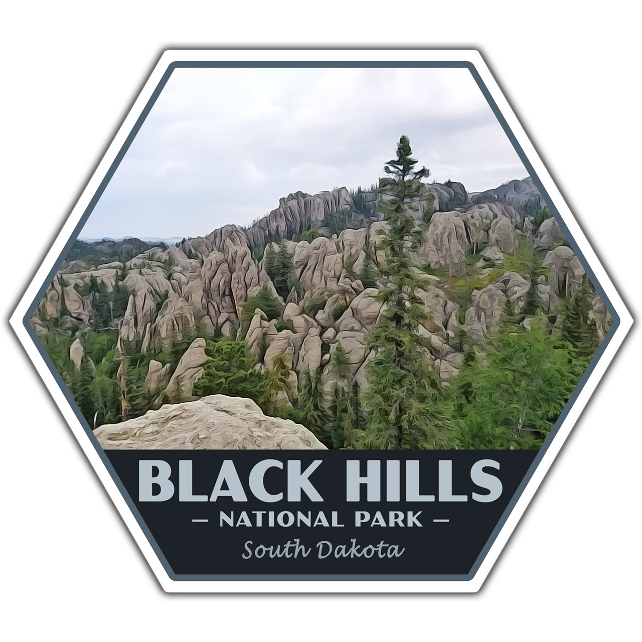 Black Hills national forest sticker