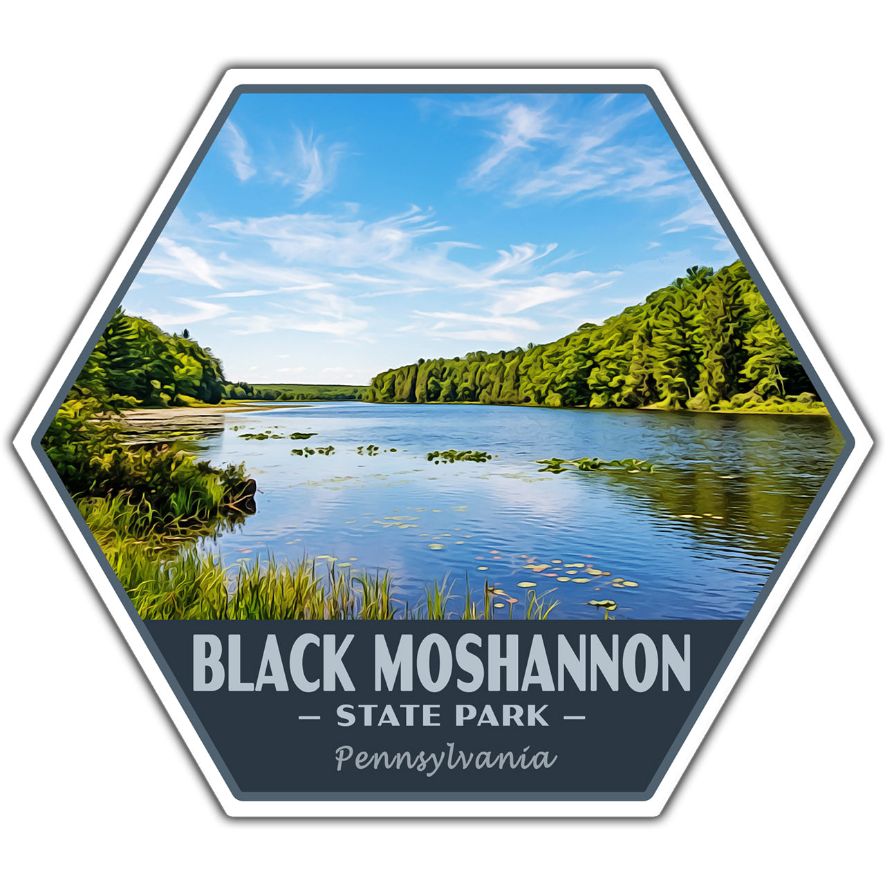 Hexagonal sticker of Black Moshannon State Park with a scenic lake and trees.