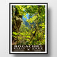 bogachiel state park poster