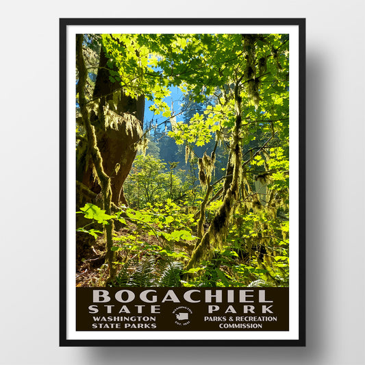 bogachiel state park poster