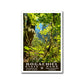 Bogachiel State Park Poster-WPA (Forest View)