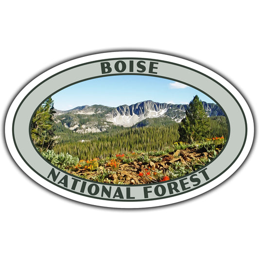 Boise national forest sticker
