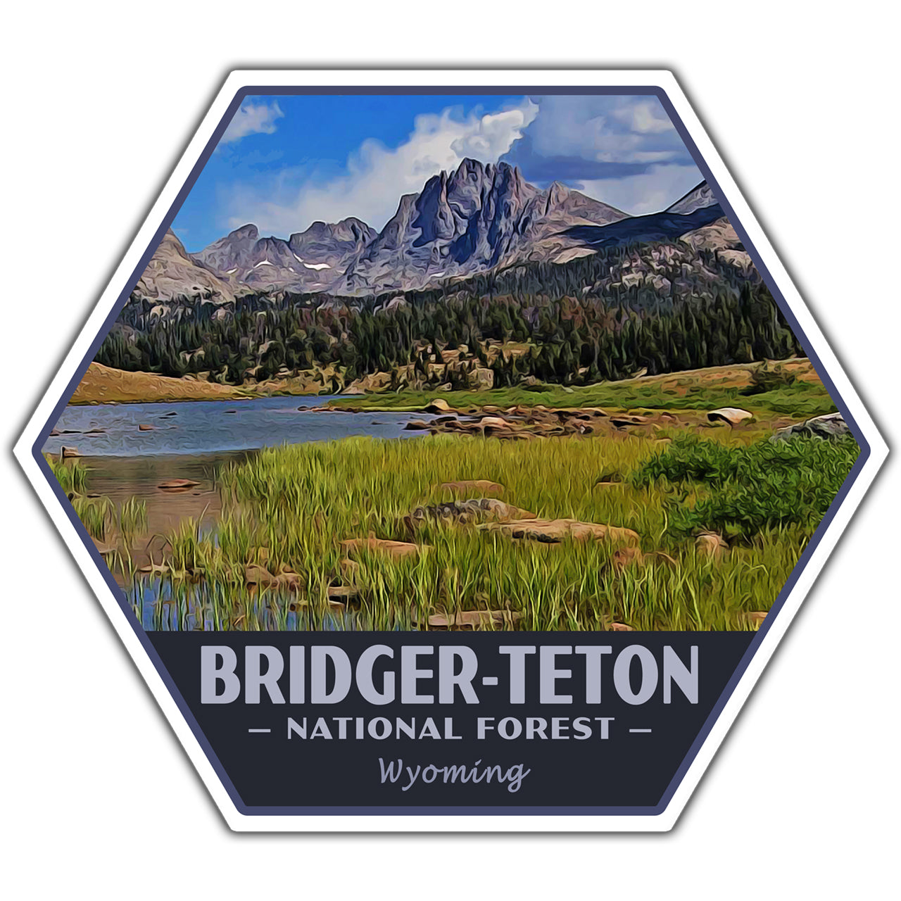 Bridger-Teton national forest sticker