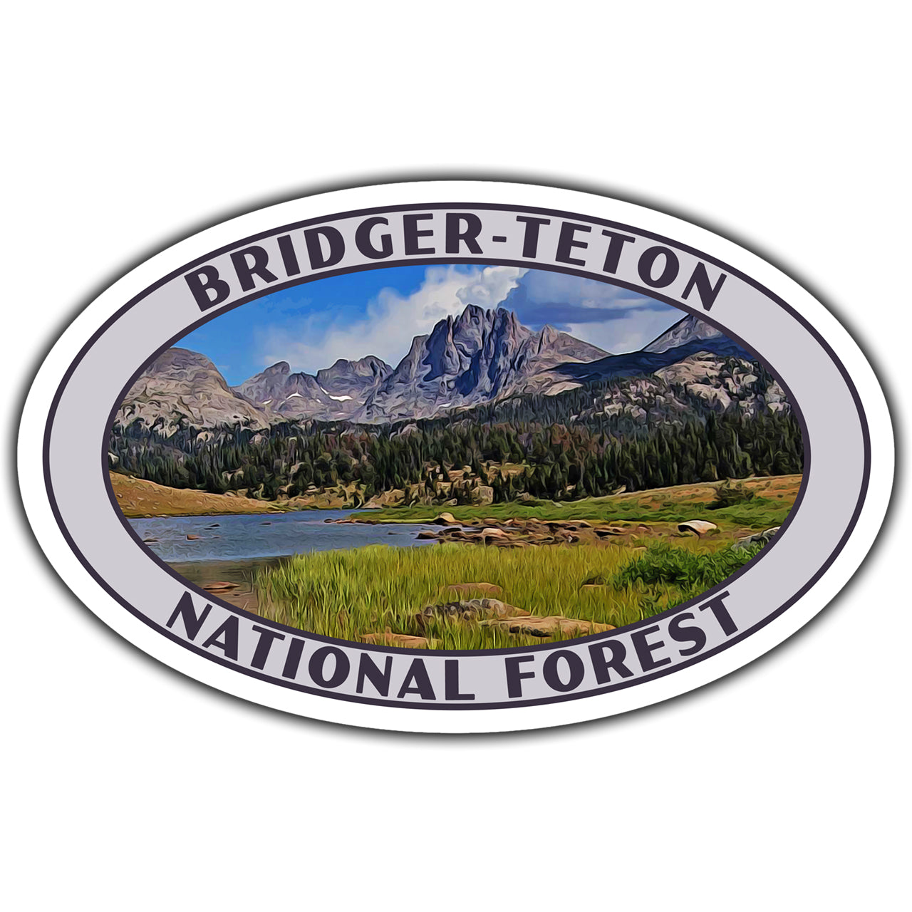 Bridger-Teton national forest sticker