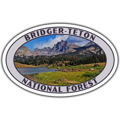 Bridger-Teton national forest sticker