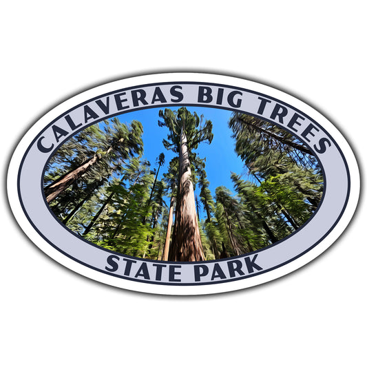 Calaveras Big Trees state park