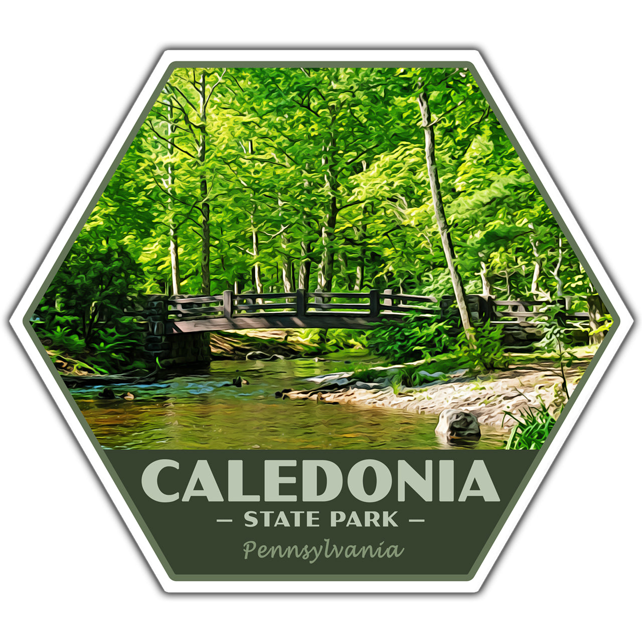 Hexagonal sticker of Caledonia State Park with a forest and bridge in the background.