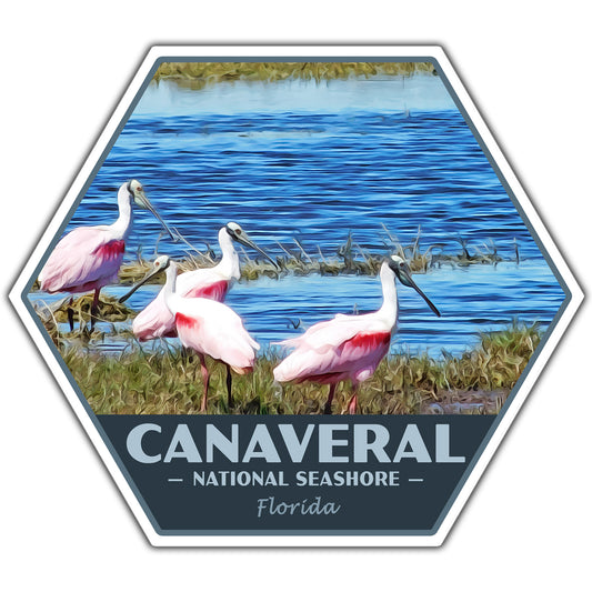 Canaveral national seashore sticker