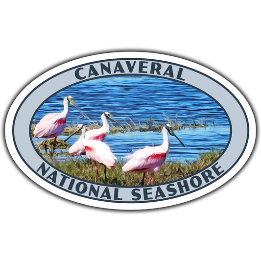 Canaveral national seashore sticker