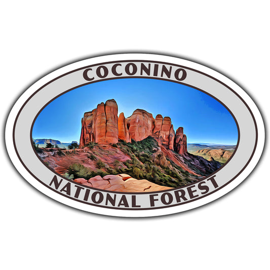 Coconino national forest sticker