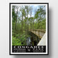 congaree national park poster