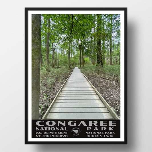 congaree national park poster