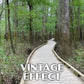 Congaree National Park Poster - WPA (Low Boardwalk)