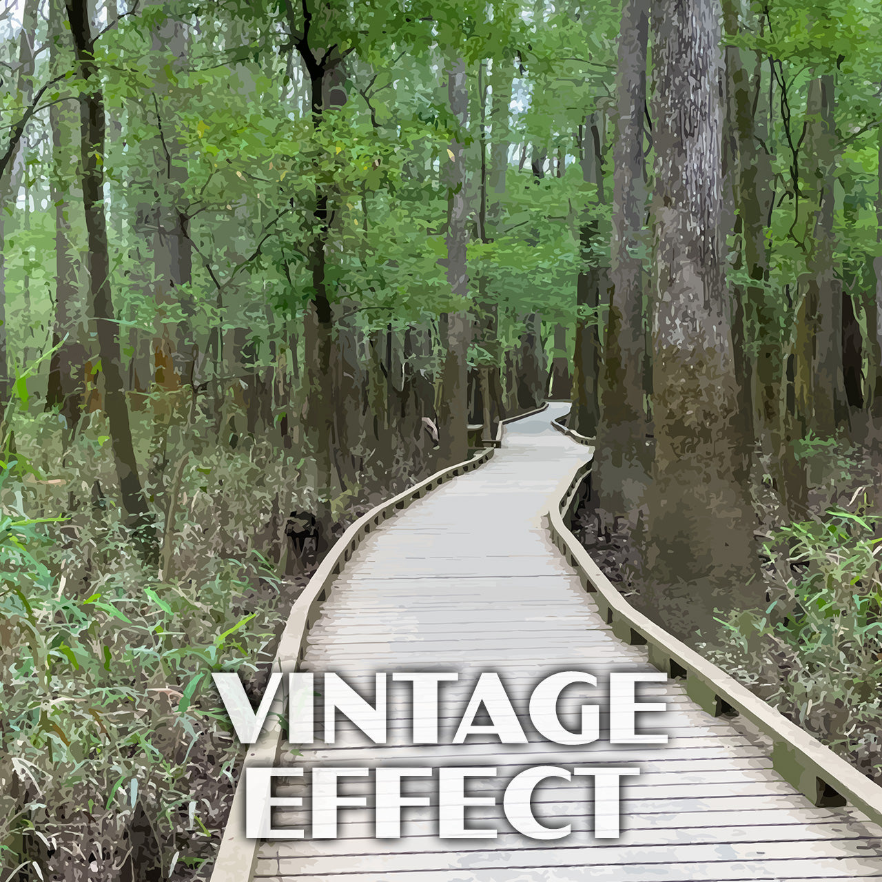 Congaree National Park Poster - WPA (Low Boardwalk)