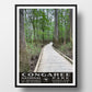 congaree national park poster