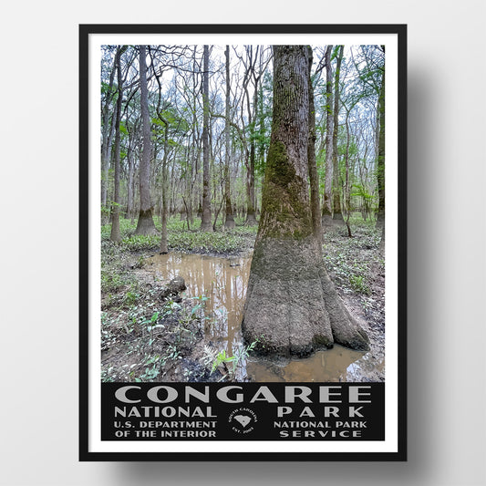 congaree national park poster