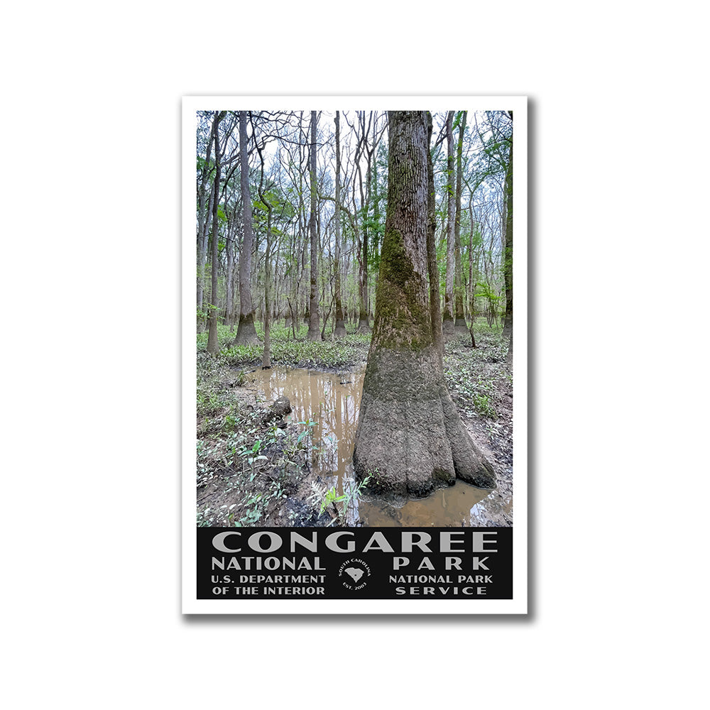 Congaree National Park Poster - WPA (Tupelos)