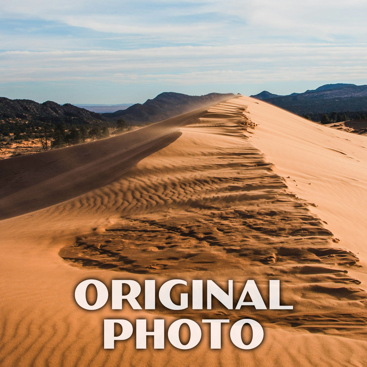 Coral Pink Sand Dunes State Park Poster-WPA (Dunes View)