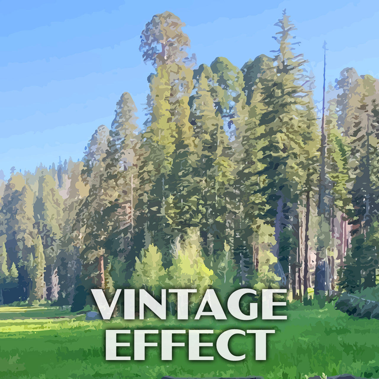 Sequoia National Park Poster-WPA (Crescent Meadow)