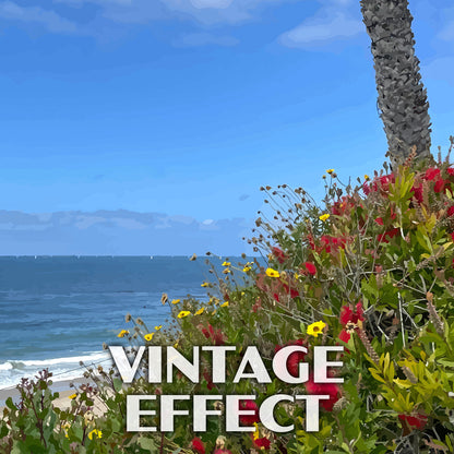 Crystal Cove State Park Poster-WPA (Palm Tree)